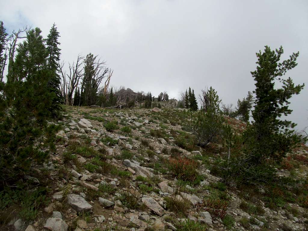 upper ridge on 2Point