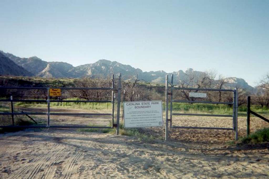 The trailhead parking area.