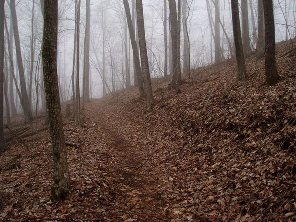 Foggy trail coming up from...