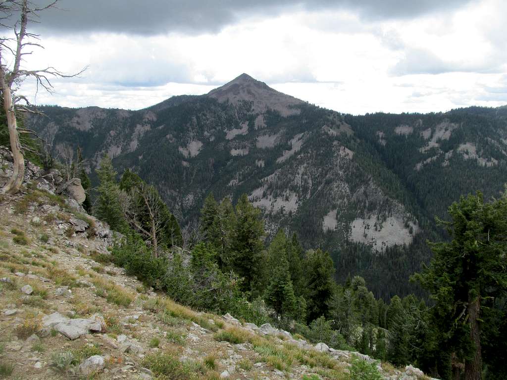 Newman Peak