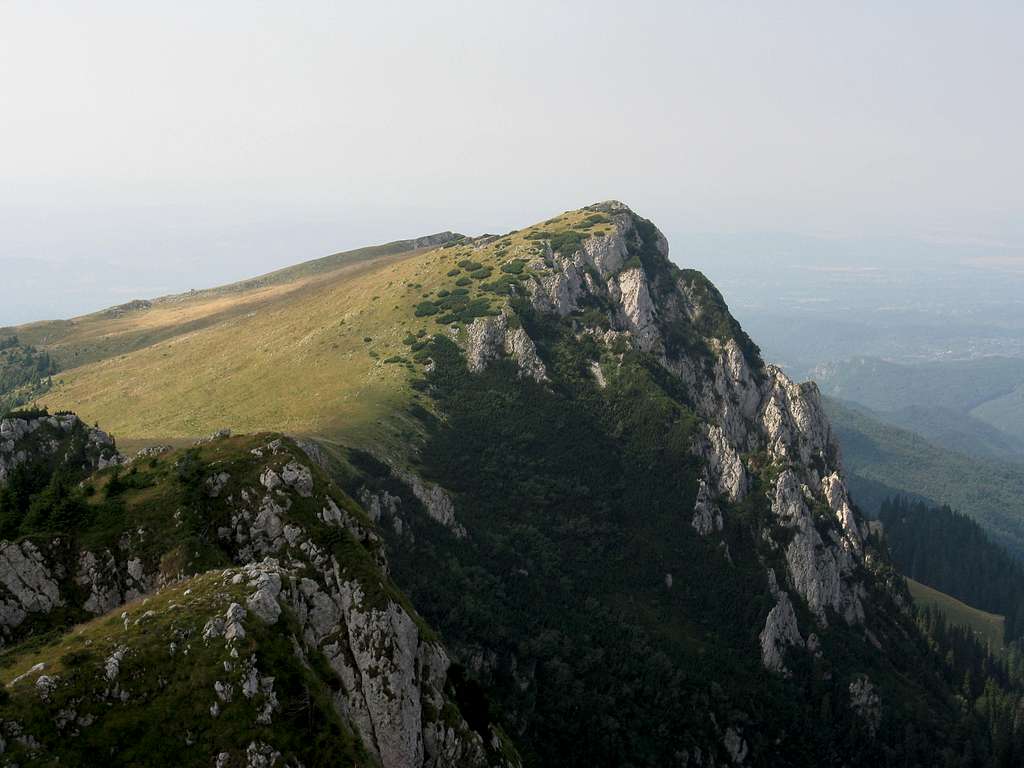 Stevioara peak (1847 m)