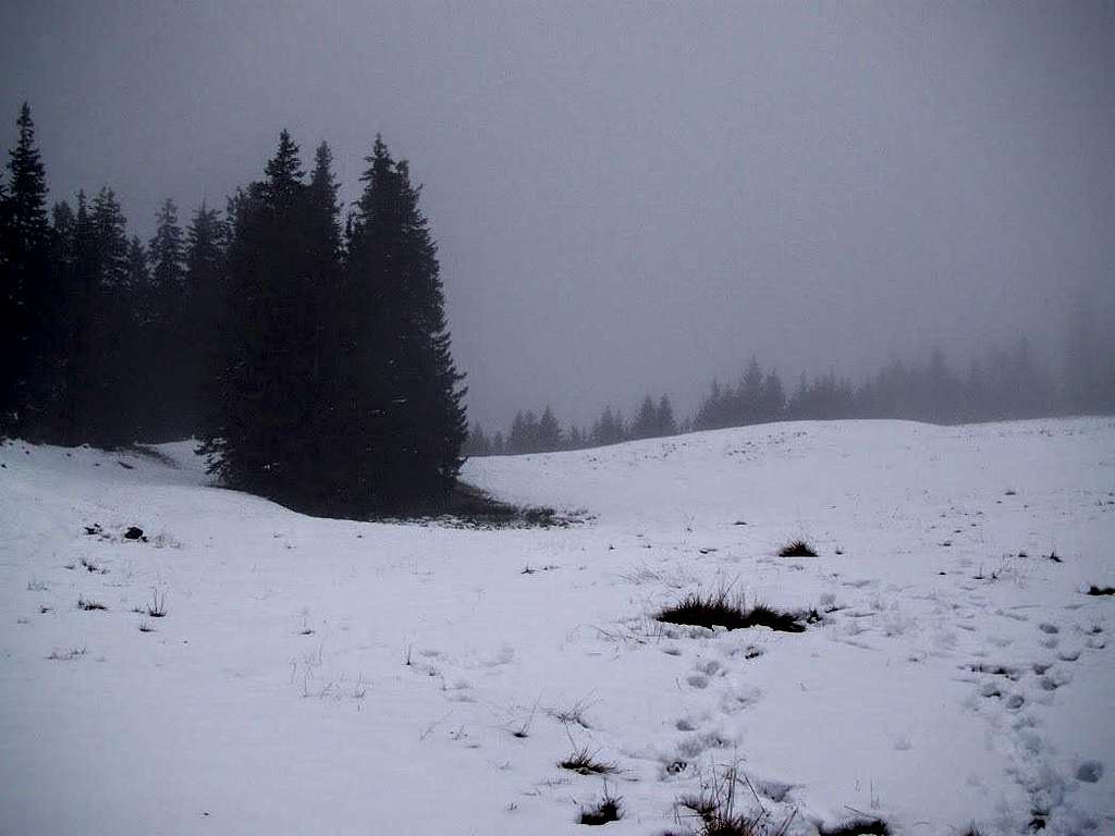 Snow has arrived also to the eastern end of the Alps