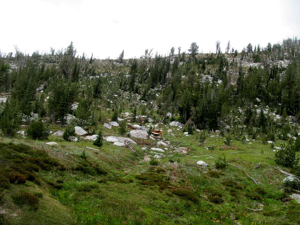 descending Log's southish summit area