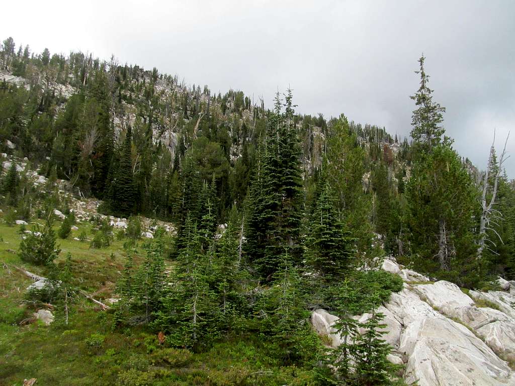 descending Log's southish summit area