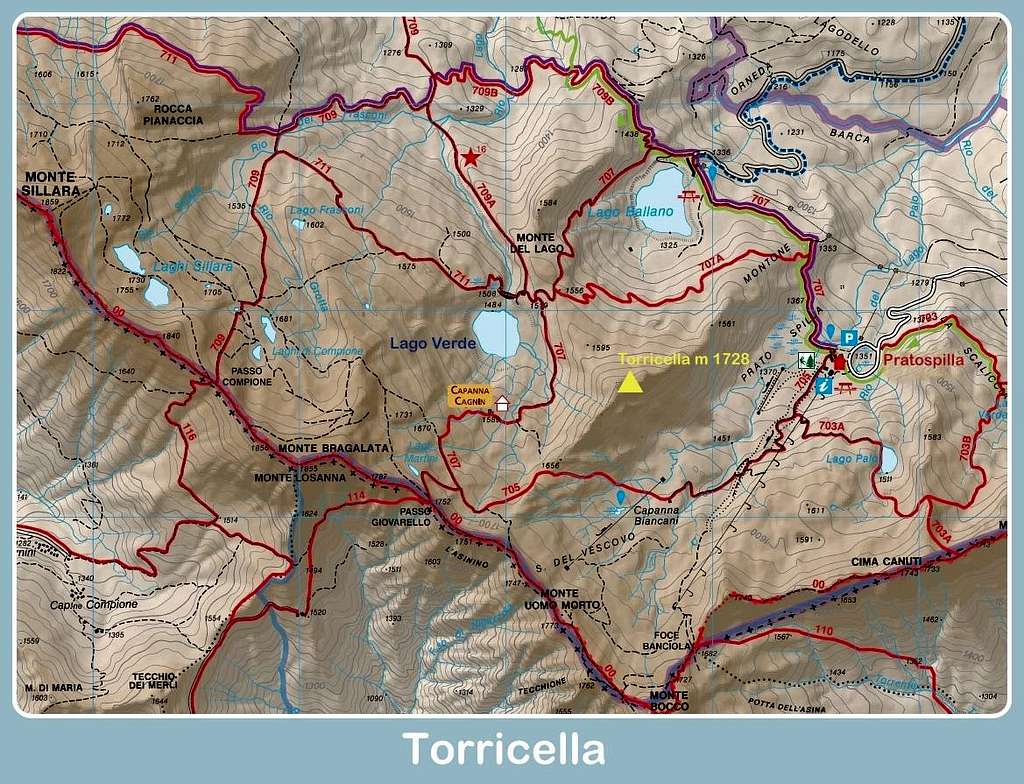 Torricella map
