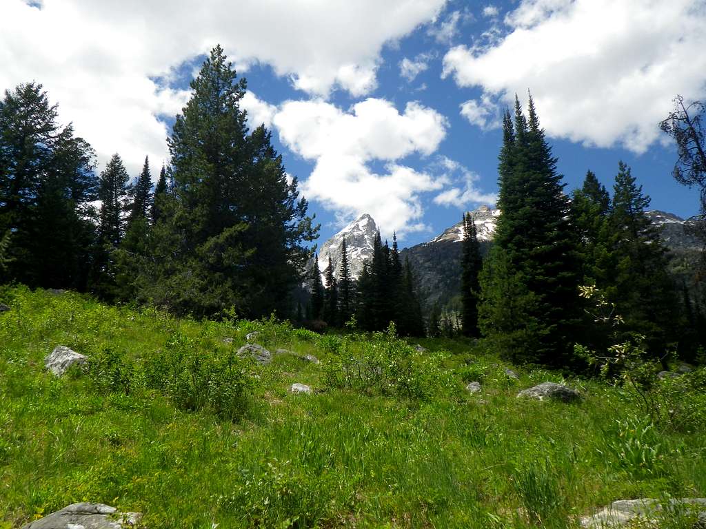 Grand Teton, June 2012