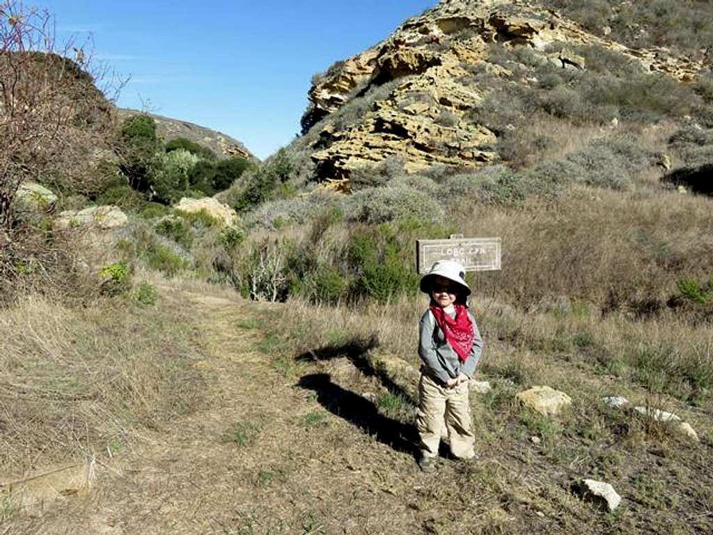 Lobo Canyon Trailhead