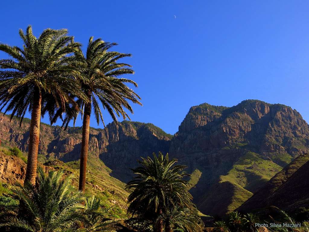 Tamadaba Natural Park, Gran Canaria