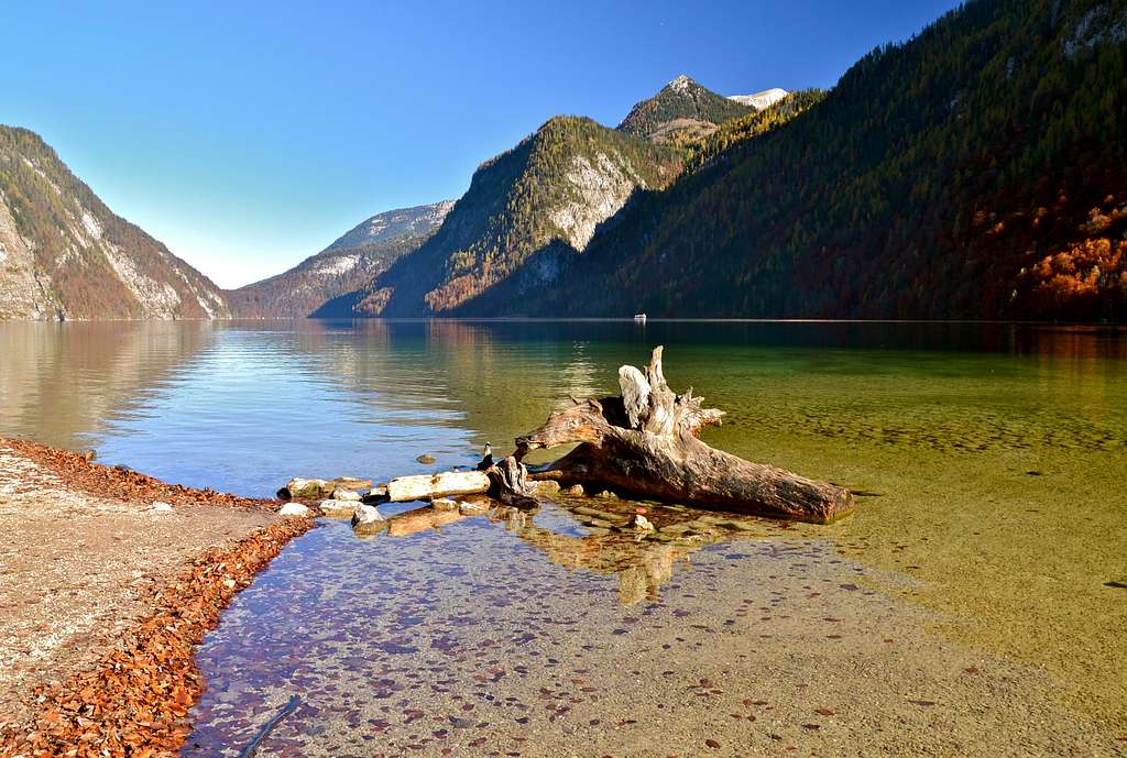 An old tree-trunk in the Königssee lake