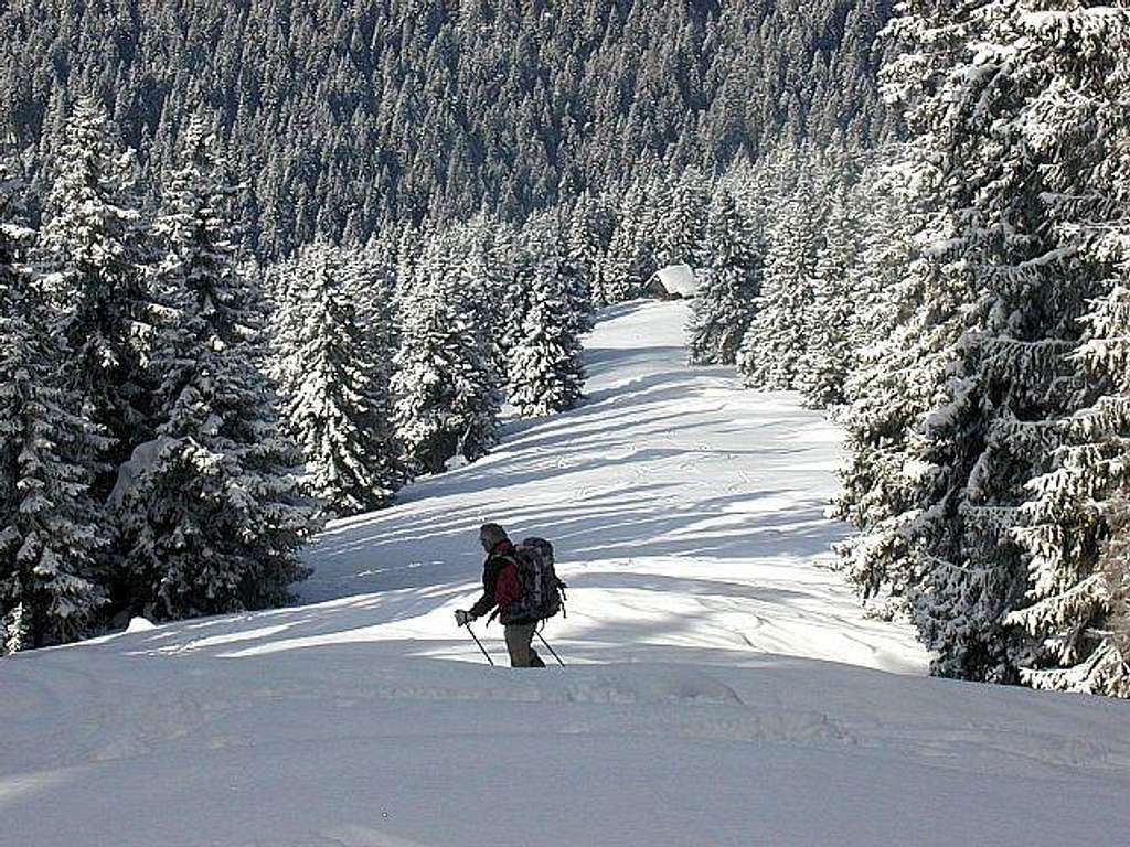 Skiing down from Zeniklovec /...