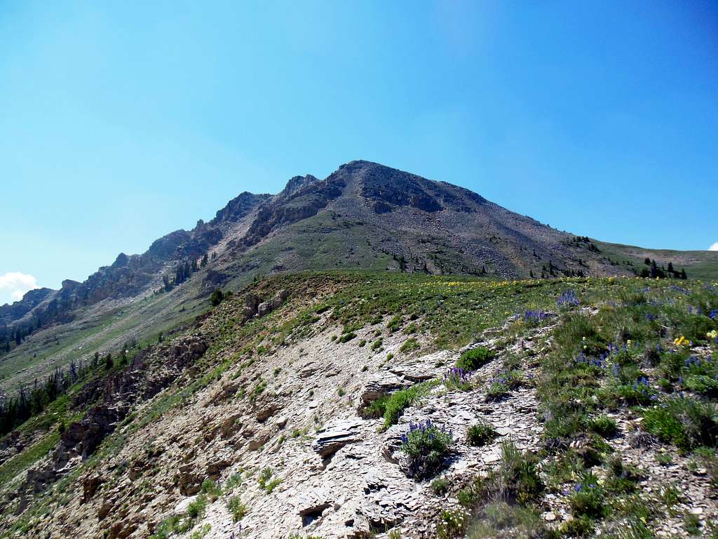Sawtooth Mountain, western end