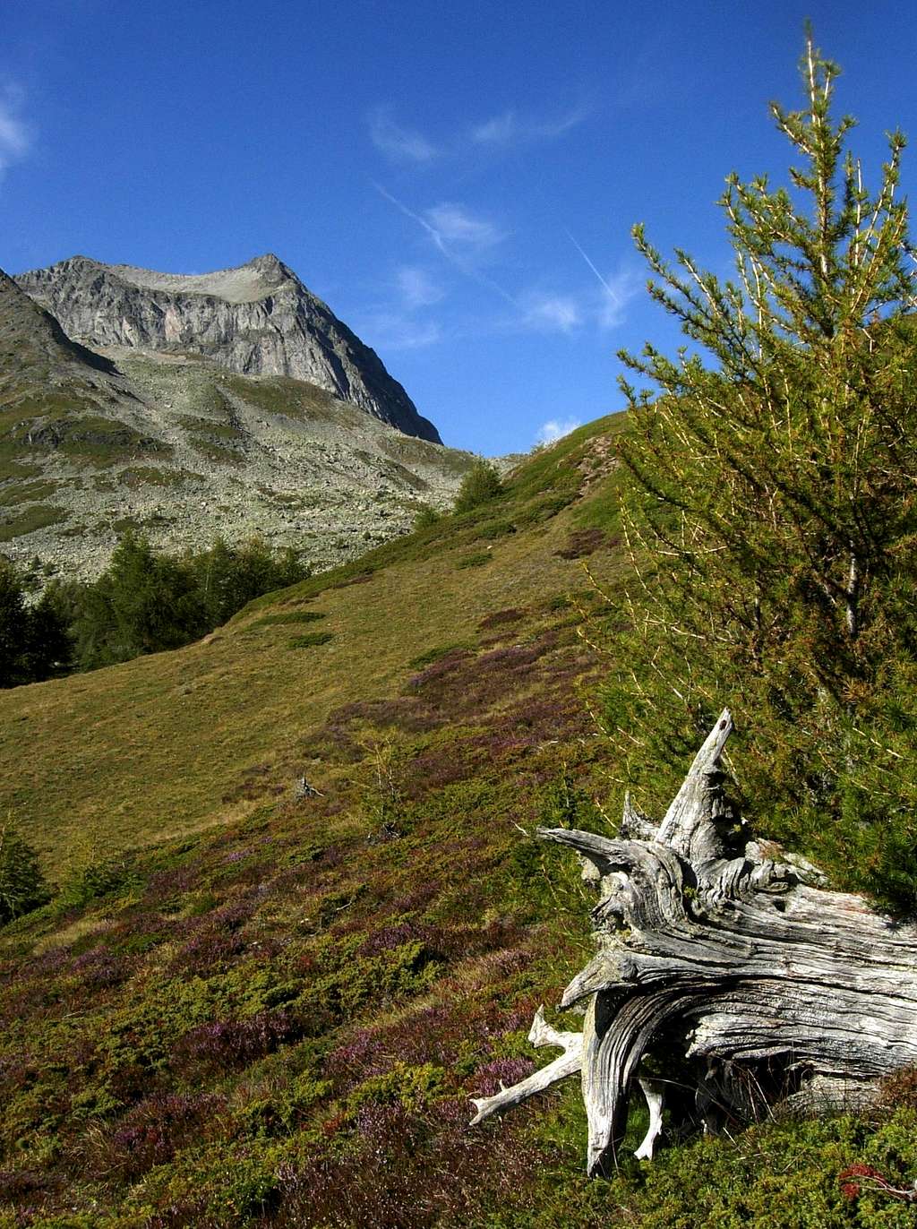 Wiwannihorn from the path