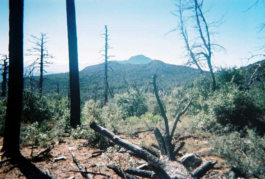 Looking south at Rincon Peak.