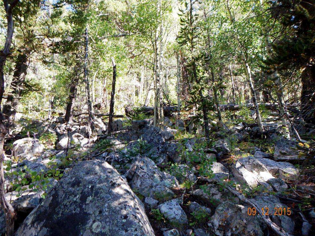 Boulder Field