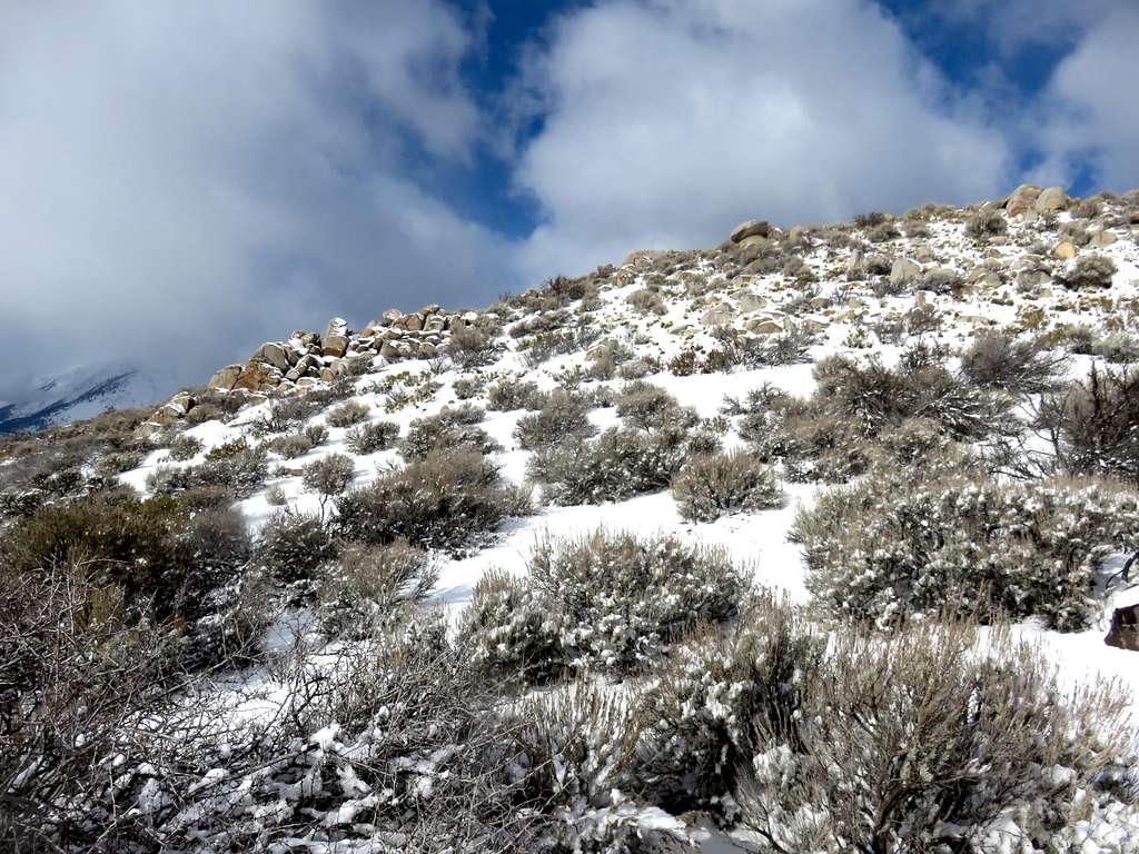 View of hillside on the descent back to Cottontail Mountain