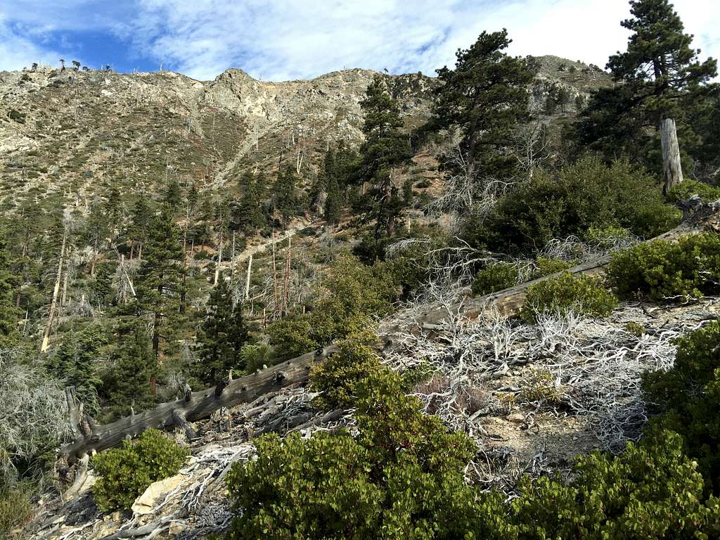Crystal Lake/Windy Gap trail -- view north