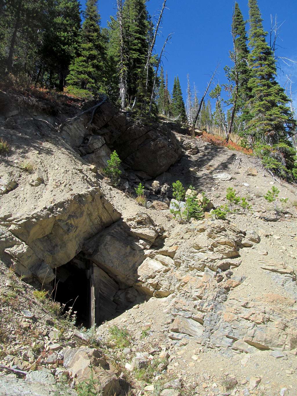 an old mine on the xc descent