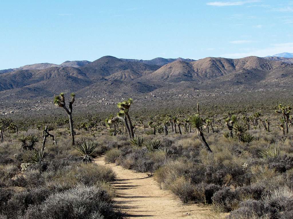 West of Geology Tour Road