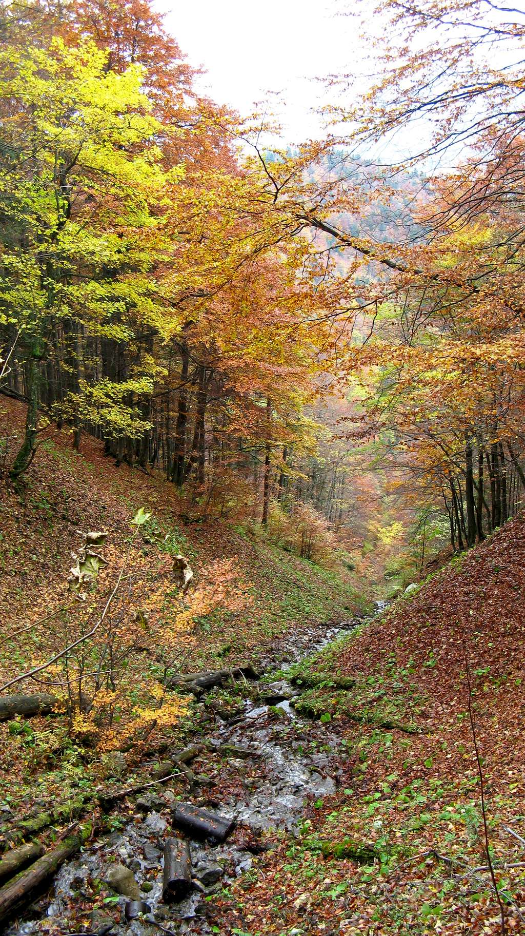 Horný Borišov creek