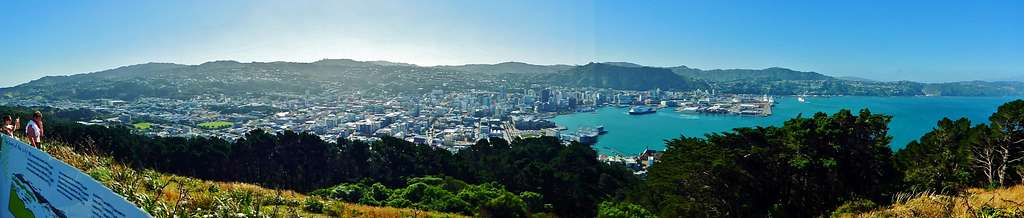 Wellington from Mt. Victoria lookout