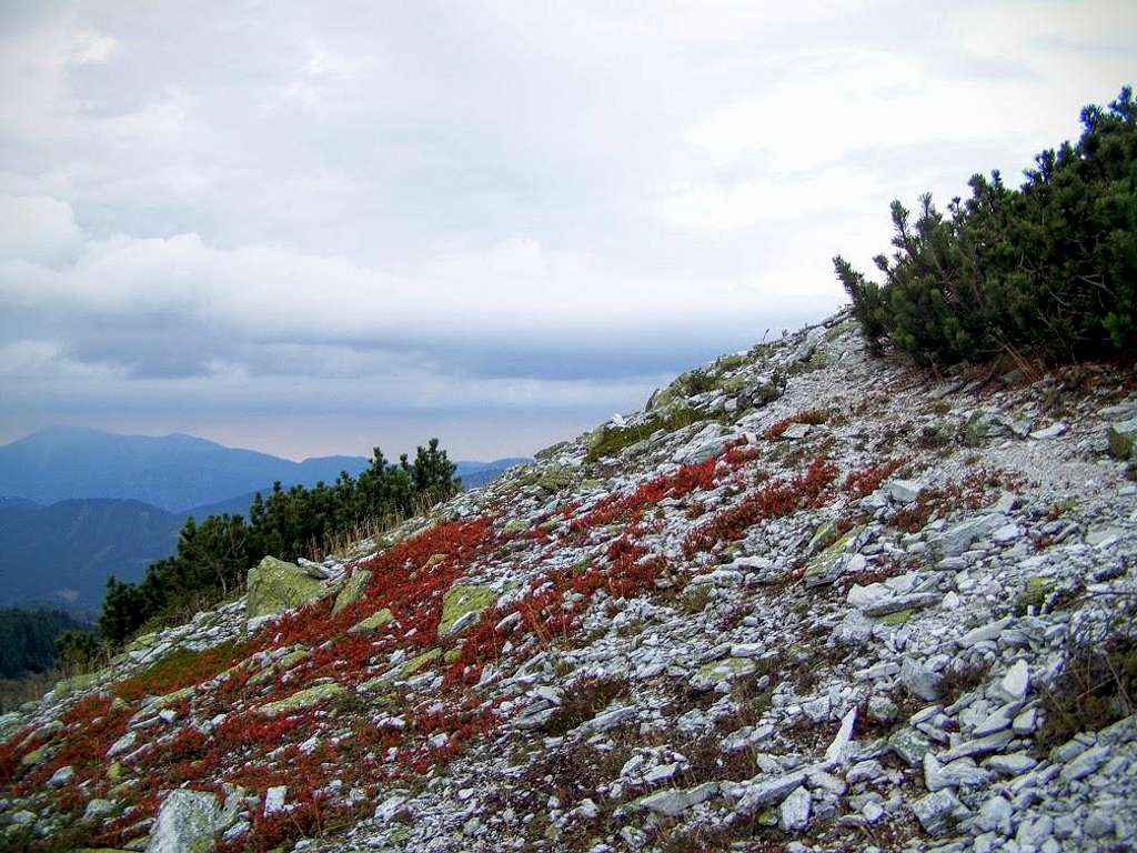 A scree slope of Grosser Pfaff