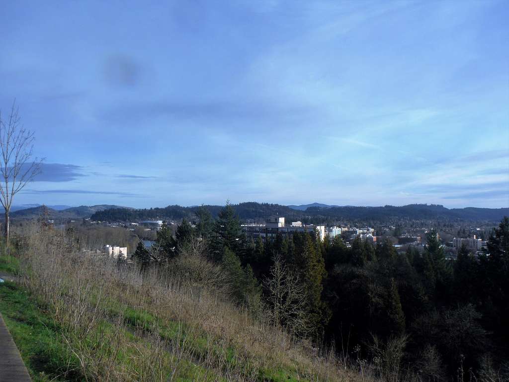 The view from Skinners Butte