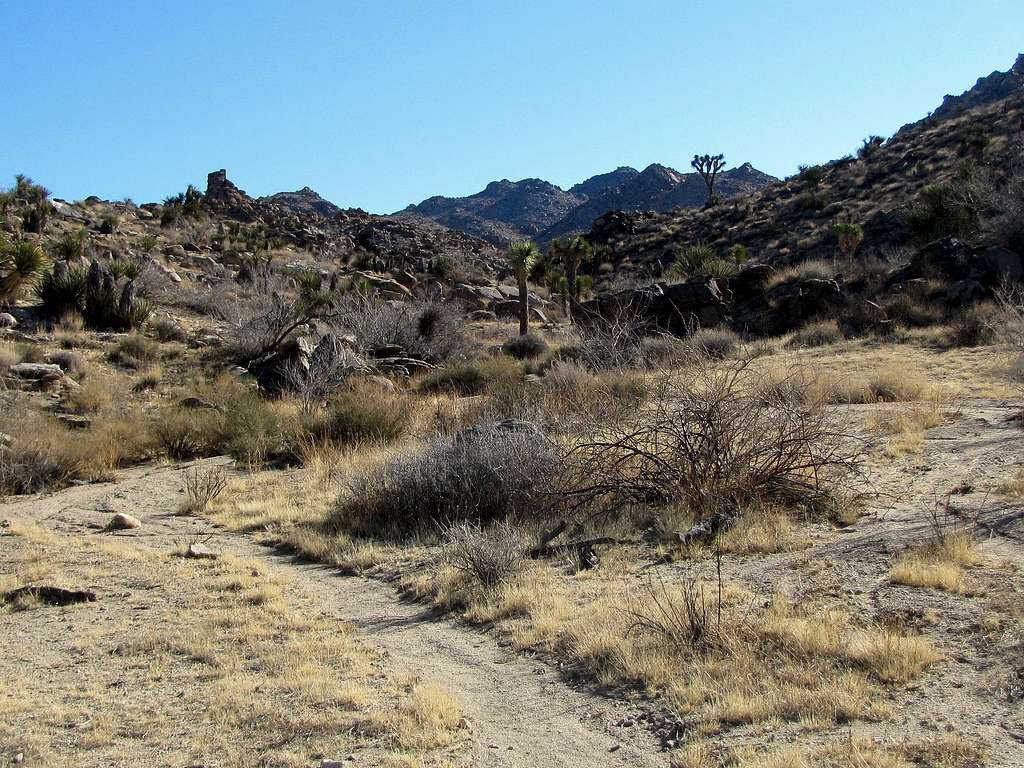 West end of Panorama Trail