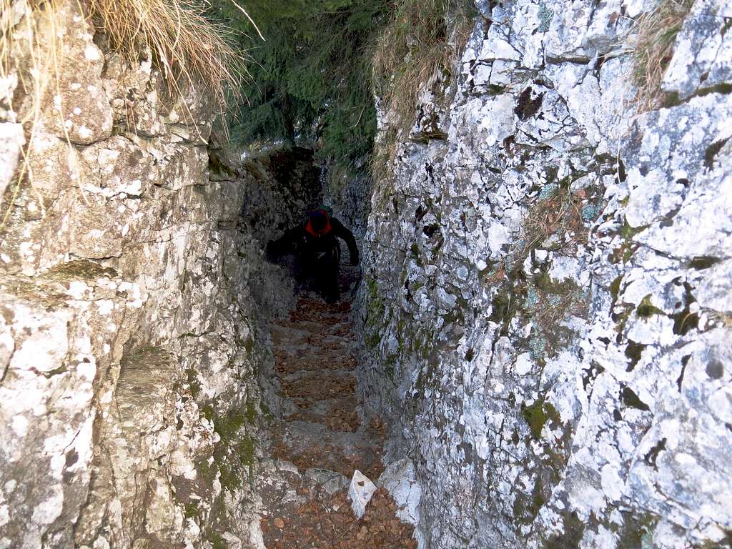 Deep WWI trench on Austro-Hungarian trail