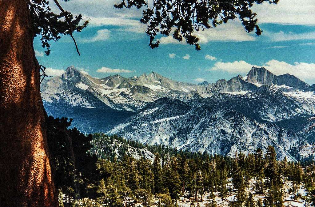 Mt. Clarence King, Mt. Cotter and Mt. Gardiner