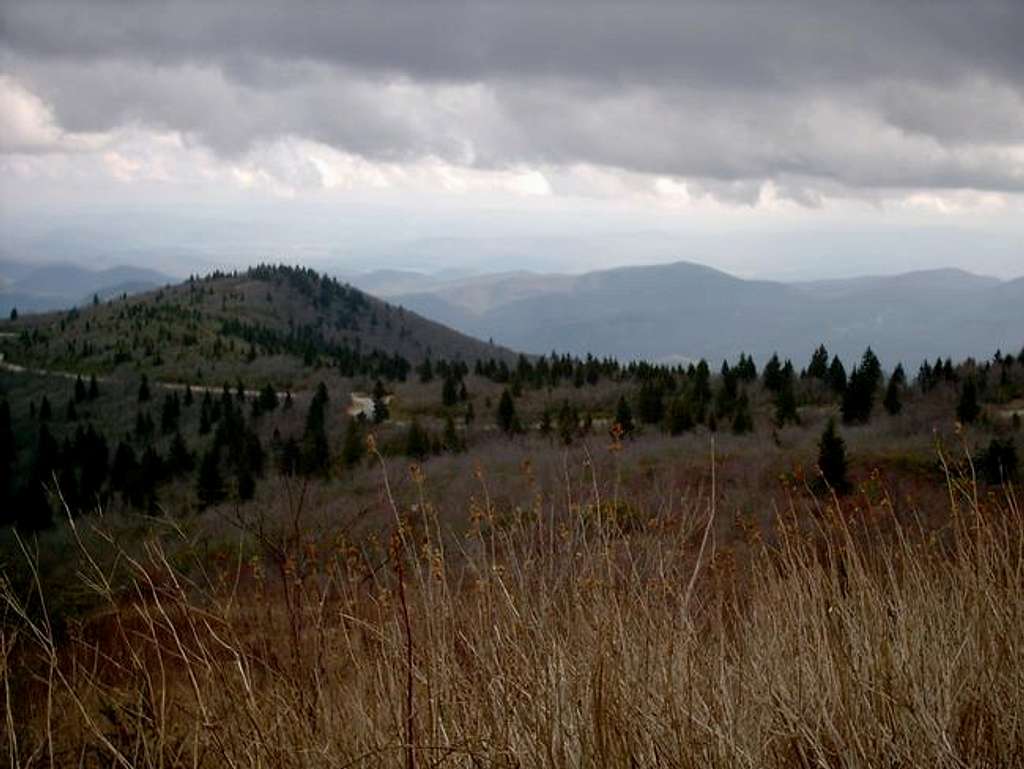 This is the Black Balsam Knob...
