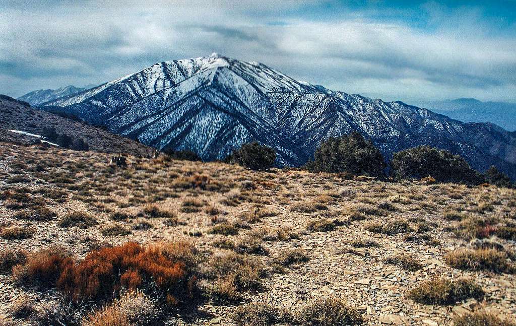 Panamint Range from Wildrose Peak