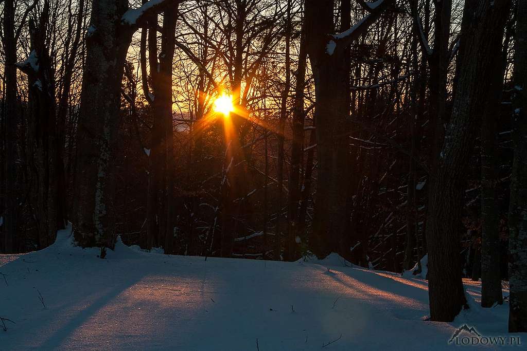 Rising Sun in Mt.Pikui woods