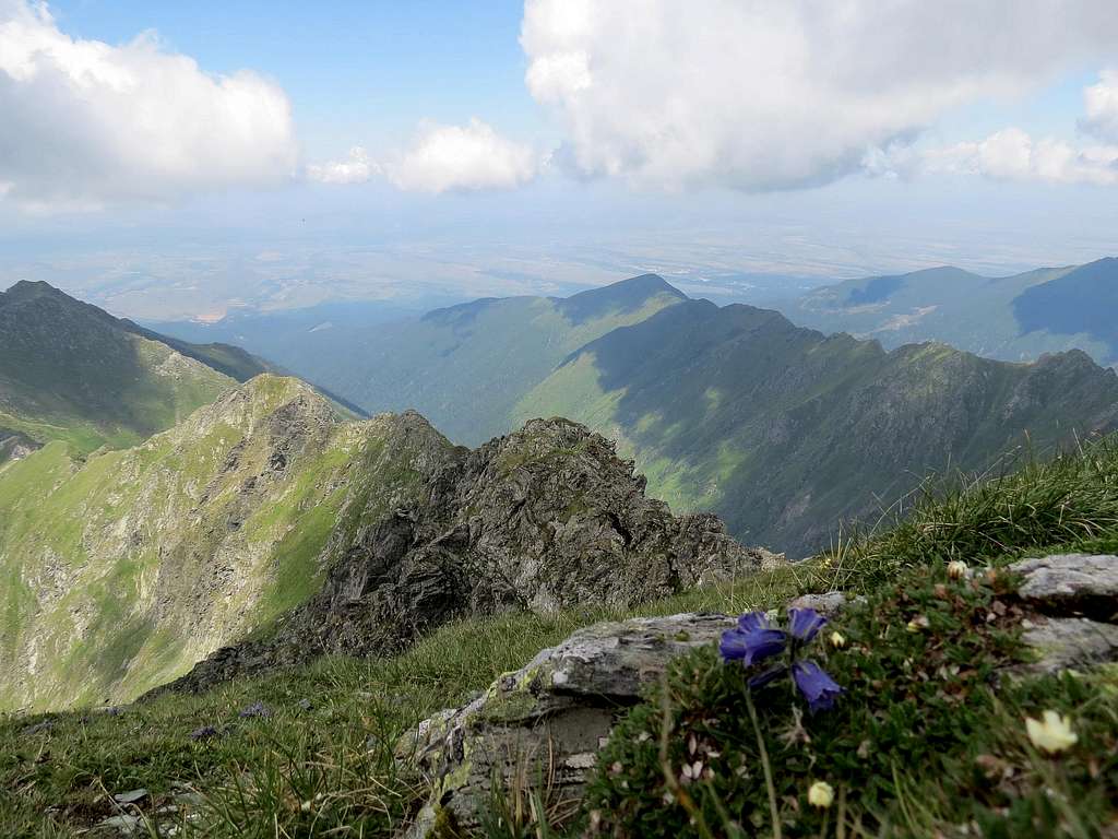 View toward Transylvania Highlands
