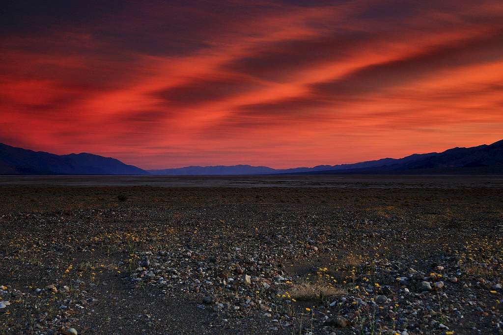 Death Valley Super Bloom Sunset