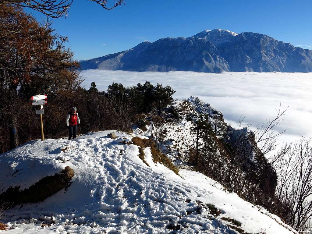 Garda Lake covered by sea of clouds seen from Passo Rocchetta