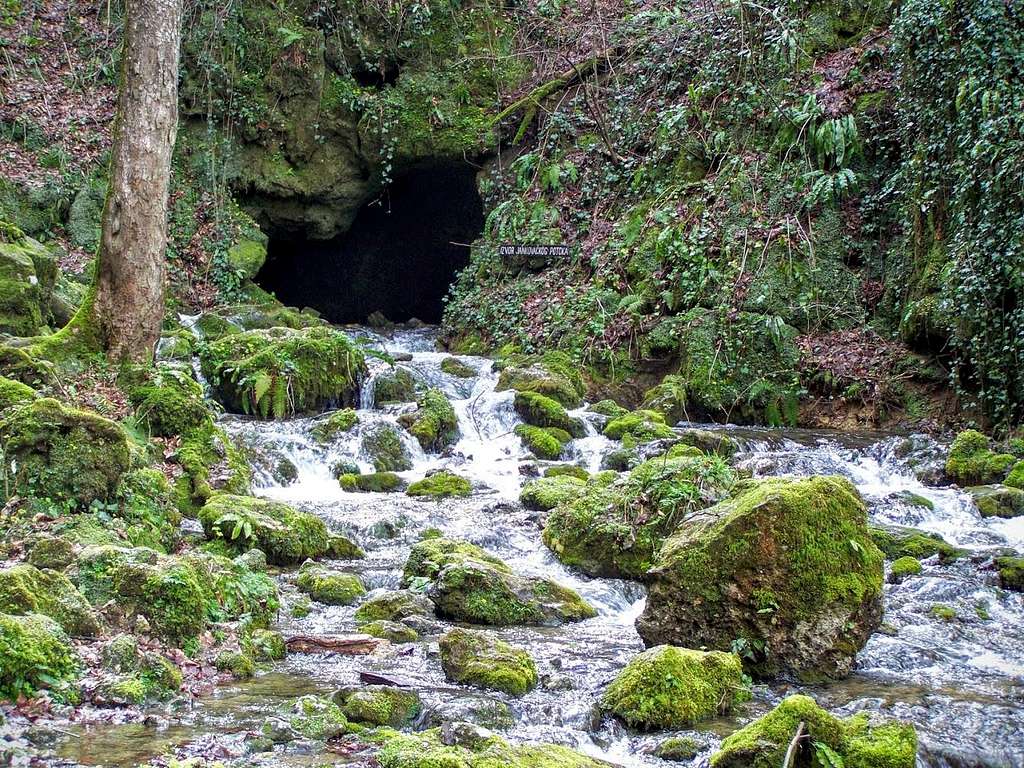 Jankovac karst spring