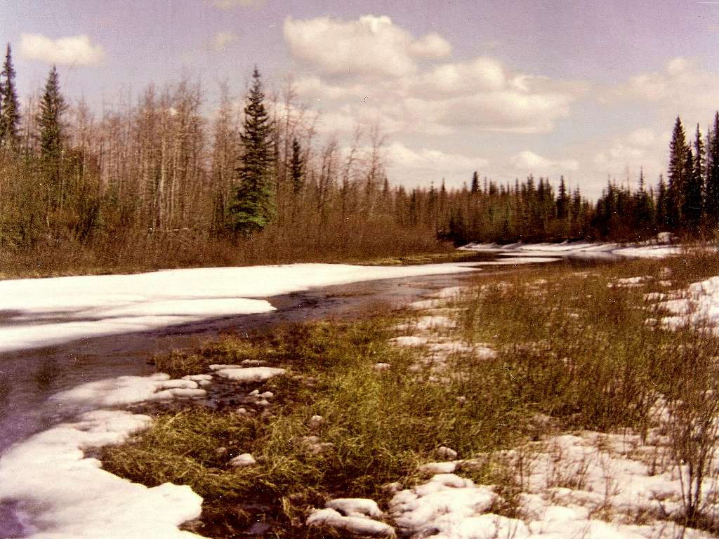 Chena Slough