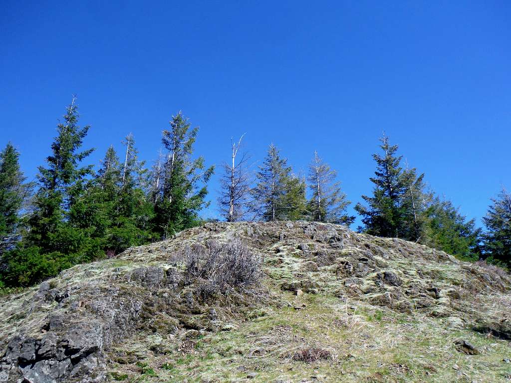 The summit area of Cedar Butte