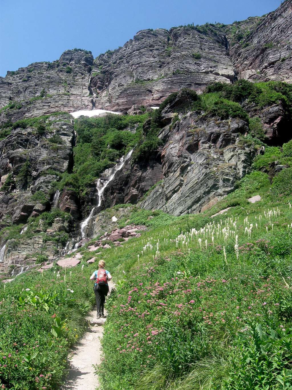 Waterfalls and Beargrass and Flowers