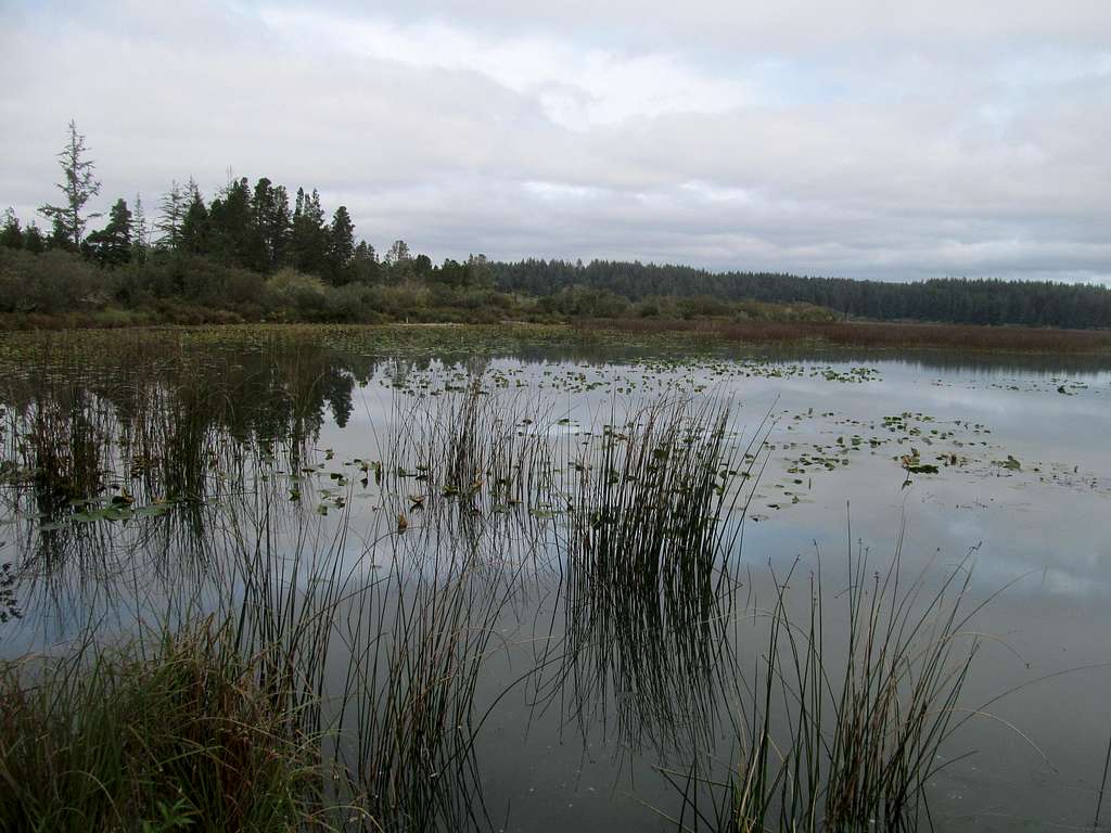Pond, Oregon Dunes