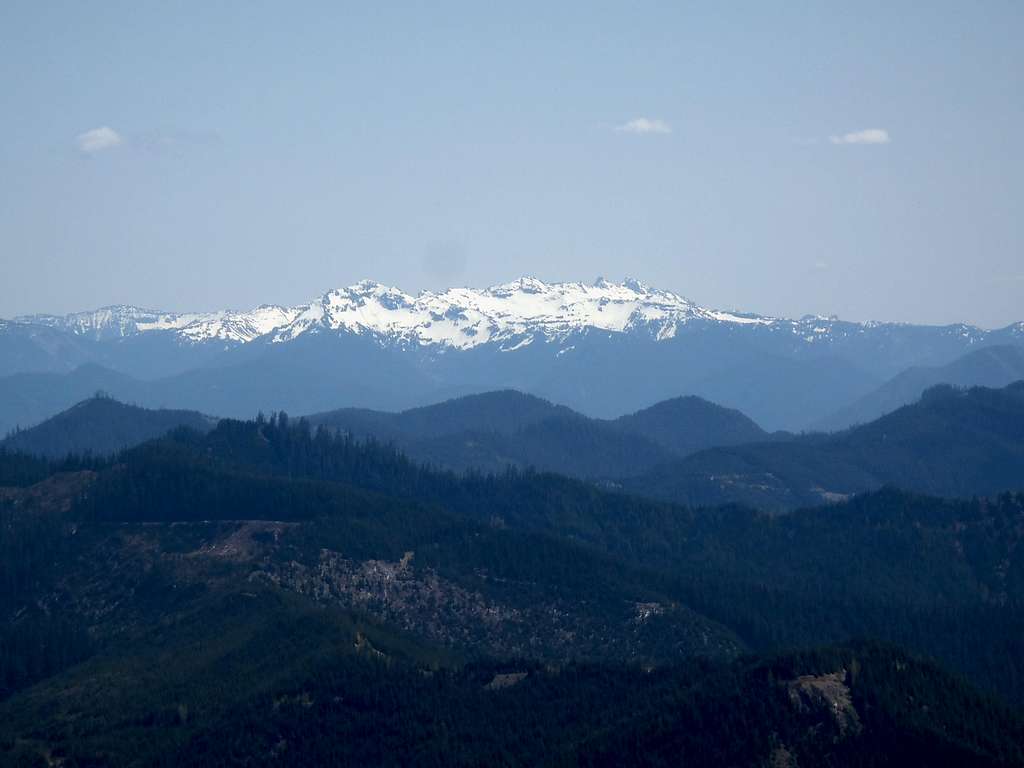 Goat Rocks from Griffin Mtn
