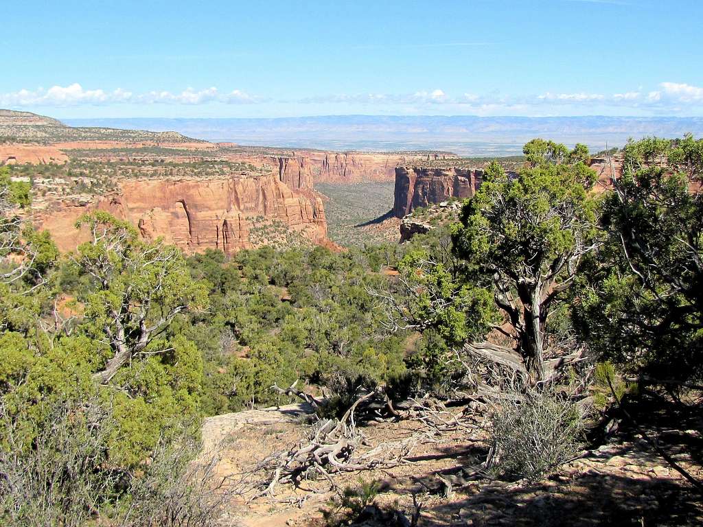 A branch of Monument Canyon
