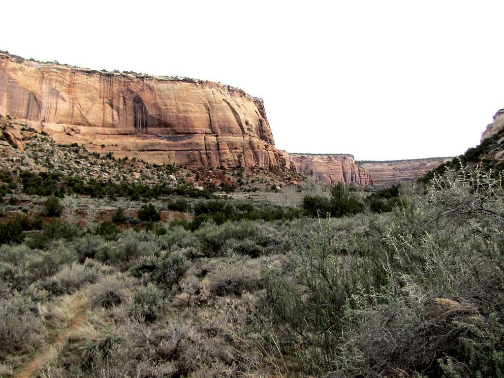 Ute Canyon