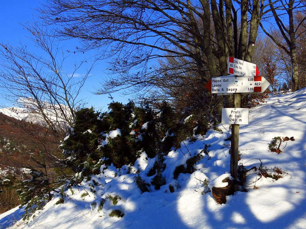 Signposts on Prati di Guil