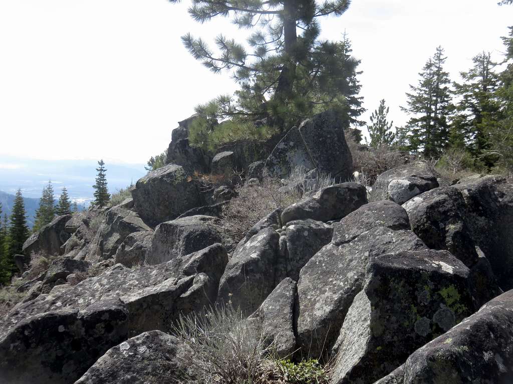 Crocker Mountain summit area