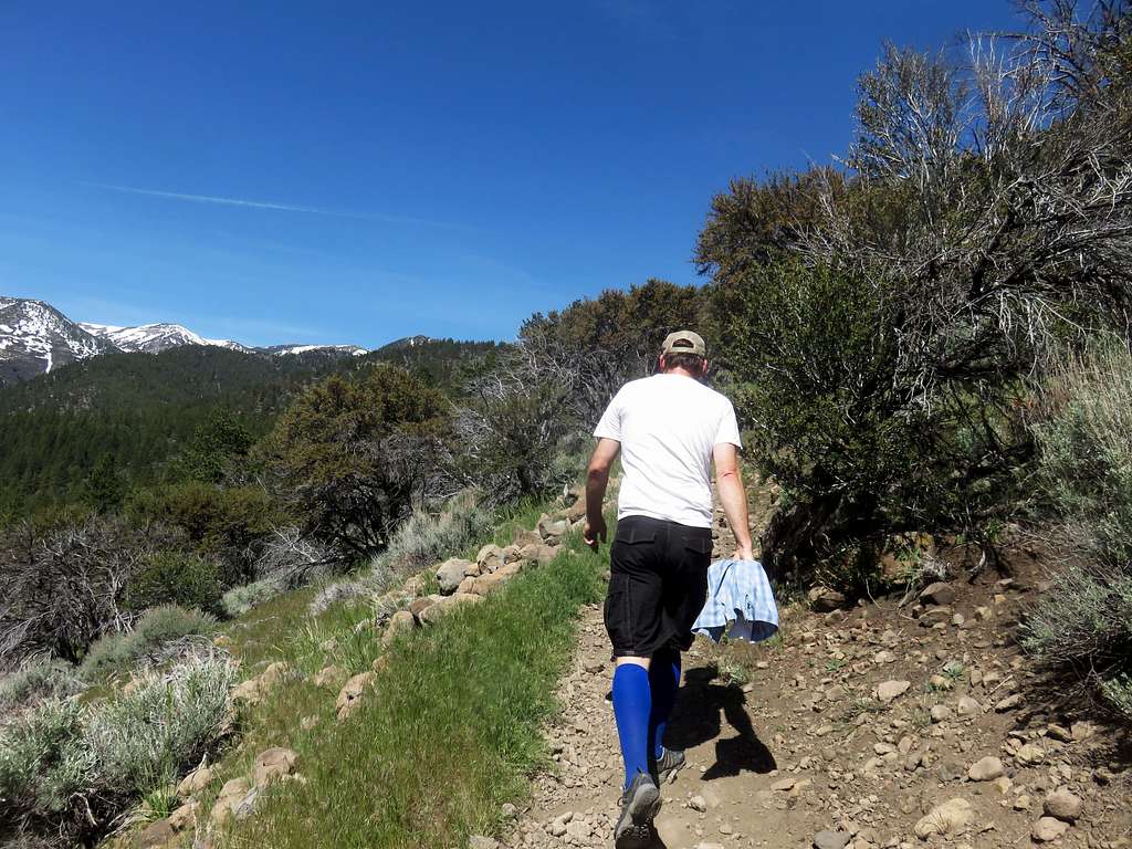 Walking up the trail from White's Creek
