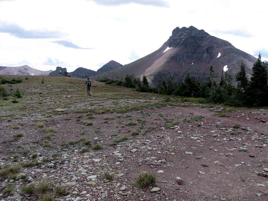 Near Chief Lodgepole Peak
