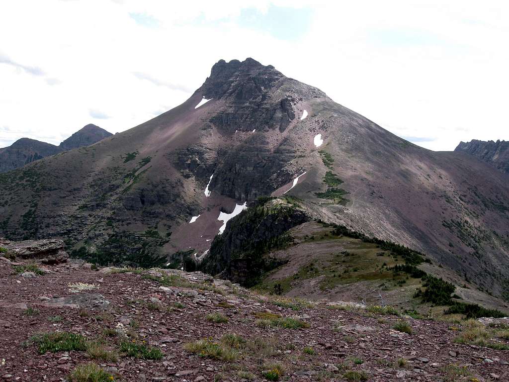 Grizzly Mountain From the Summit of Chief Lodgepole Peak