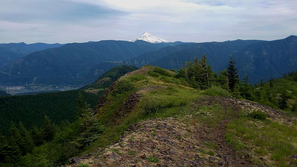 Mount Hood from the summit ridge