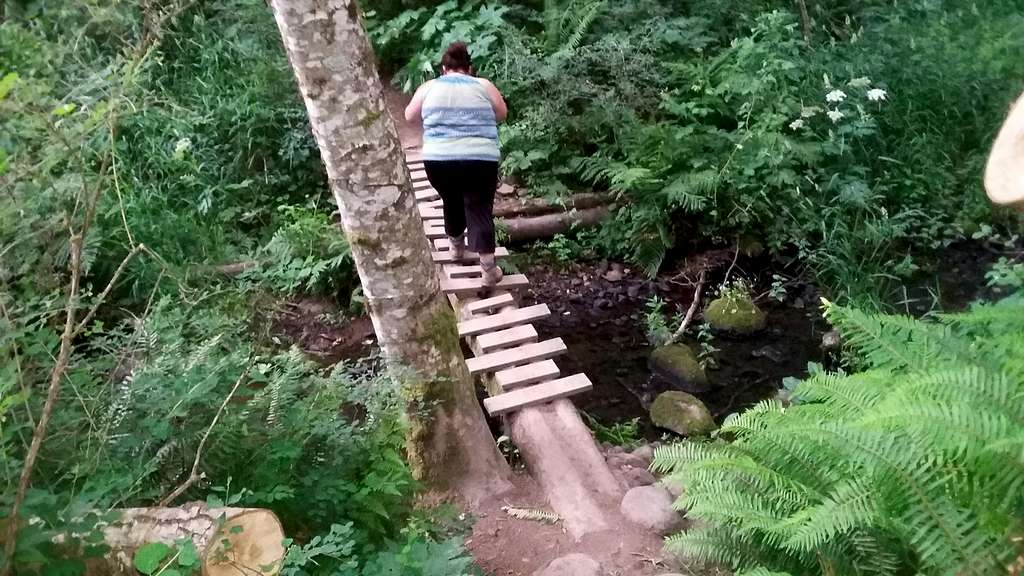 BearQueen on a bridge